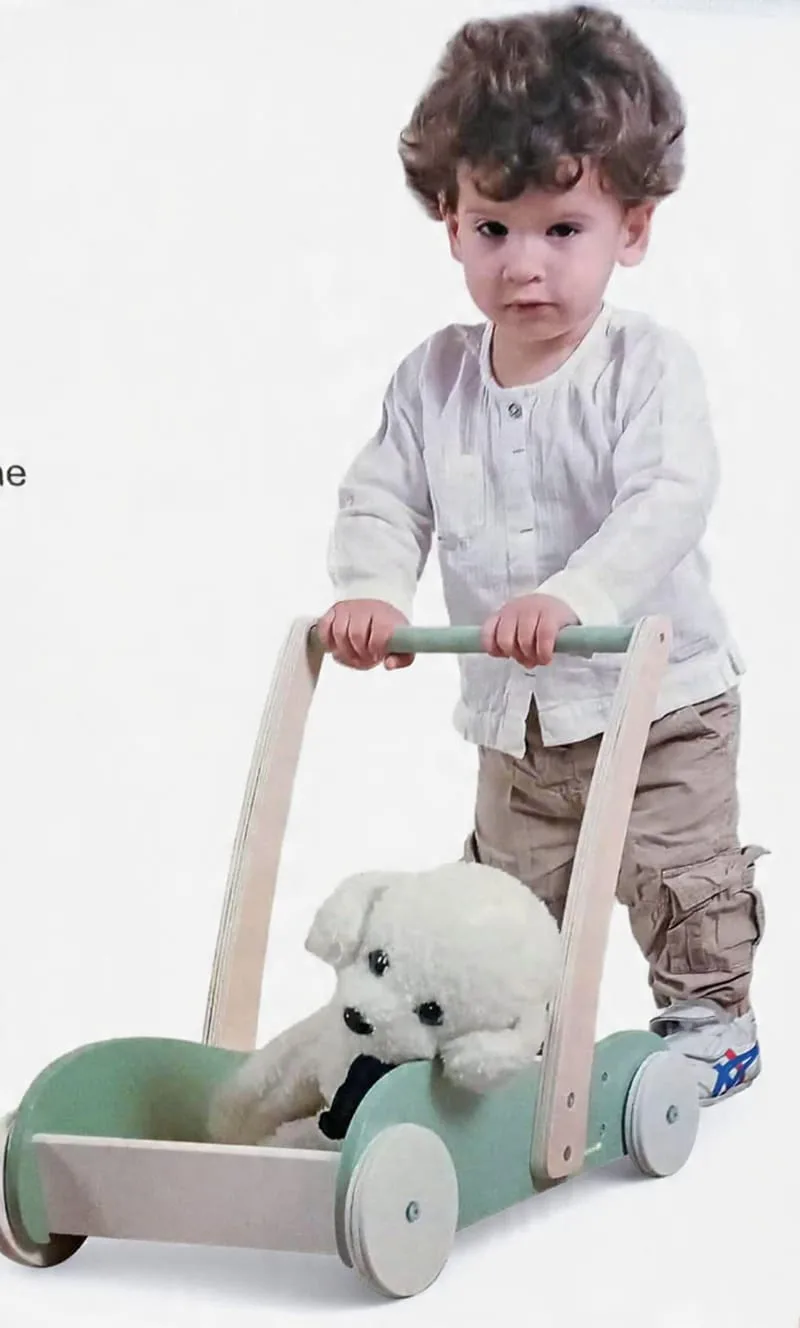 Mini mover Baby Walker- Polar B